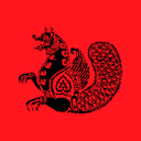 Dnevni Avaz logo