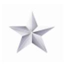 The Post-Star logo